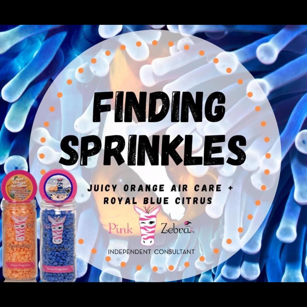 Pink Zebra Sprinkles ‘Finding Sprinkles’